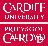 Cardiff University Gravity Exploration Institute